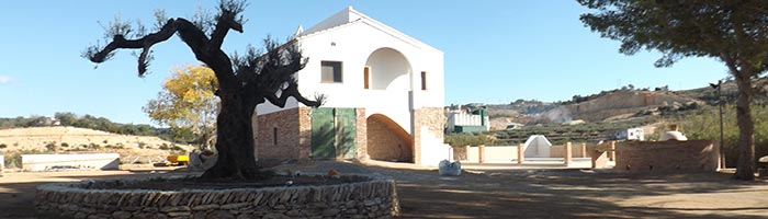 Mas Daudén